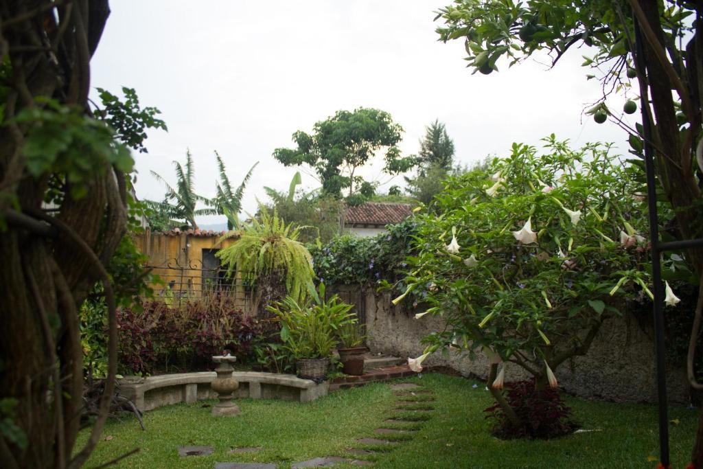 La Casa De Don Pedro Hotel Antigua Eksteriør billede