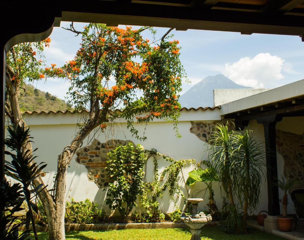 La Casa De Don Pedro Hotel Antigua Eksteriør billede